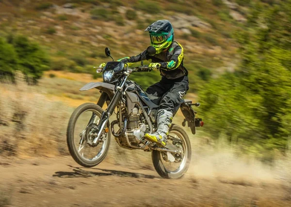 kawasaki klx 230 unveiled in india